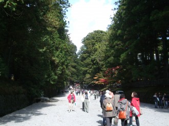 東照宮に向って緩やかな坂を登ります