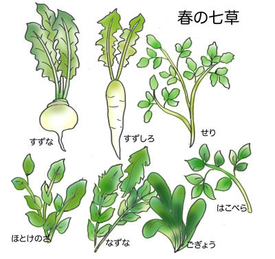 【第十三回】七草粥はいかがイメージ