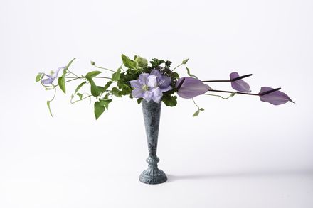 クレマチスカラーのホリゾンタルライン