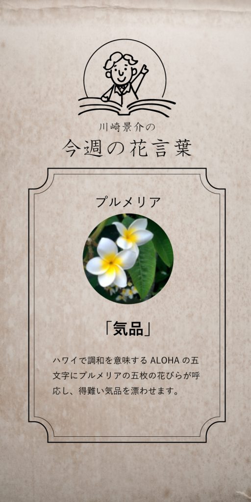 マミフラワーデザインスクール 今週の花言葉 マミフラワーデザインスクール 今週の花言葉