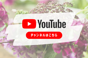 【暮らしの花文化】youtube