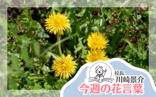 今週の花言葉