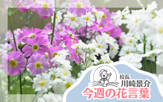 今週の花言葉