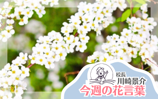 今週の花言葉