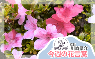 今週の花言葉