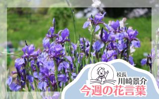 今週の花言葉