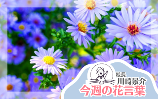 今週の花言葉