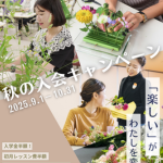 2025年 お得な秋のキャンペーン　始まりました！