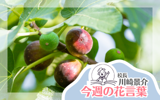 今週の花言葉