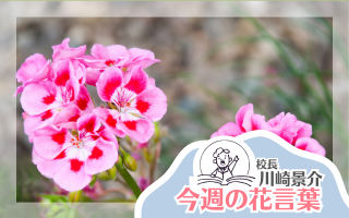 今週の花言葉