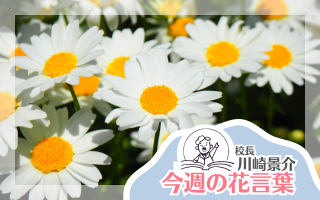 今週の花言葉