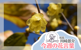 今週の花言葉