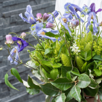 5月開講！<br>1dayレッスン新講座<br>「hibiの花ごと」