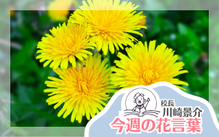 今週の花言葉