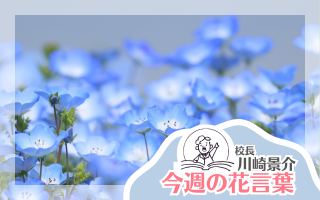 今週の花言葉