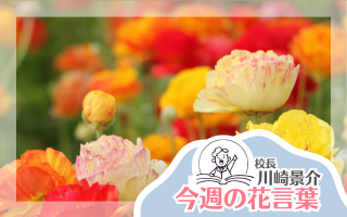 今週の花言葉