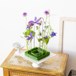 初心者向けトライアルコース生徒募集中【大森山王教室】